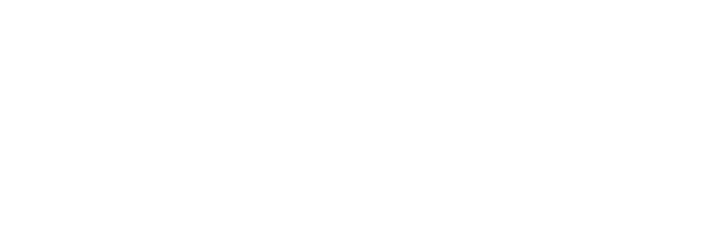 Mannheimer Morgen