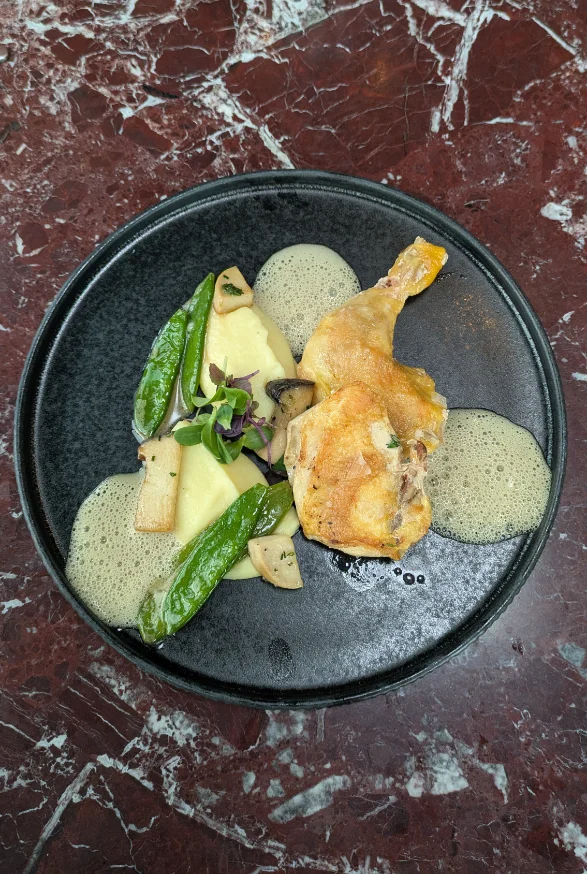 Stubenküken